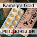 Kamagra Gold 41